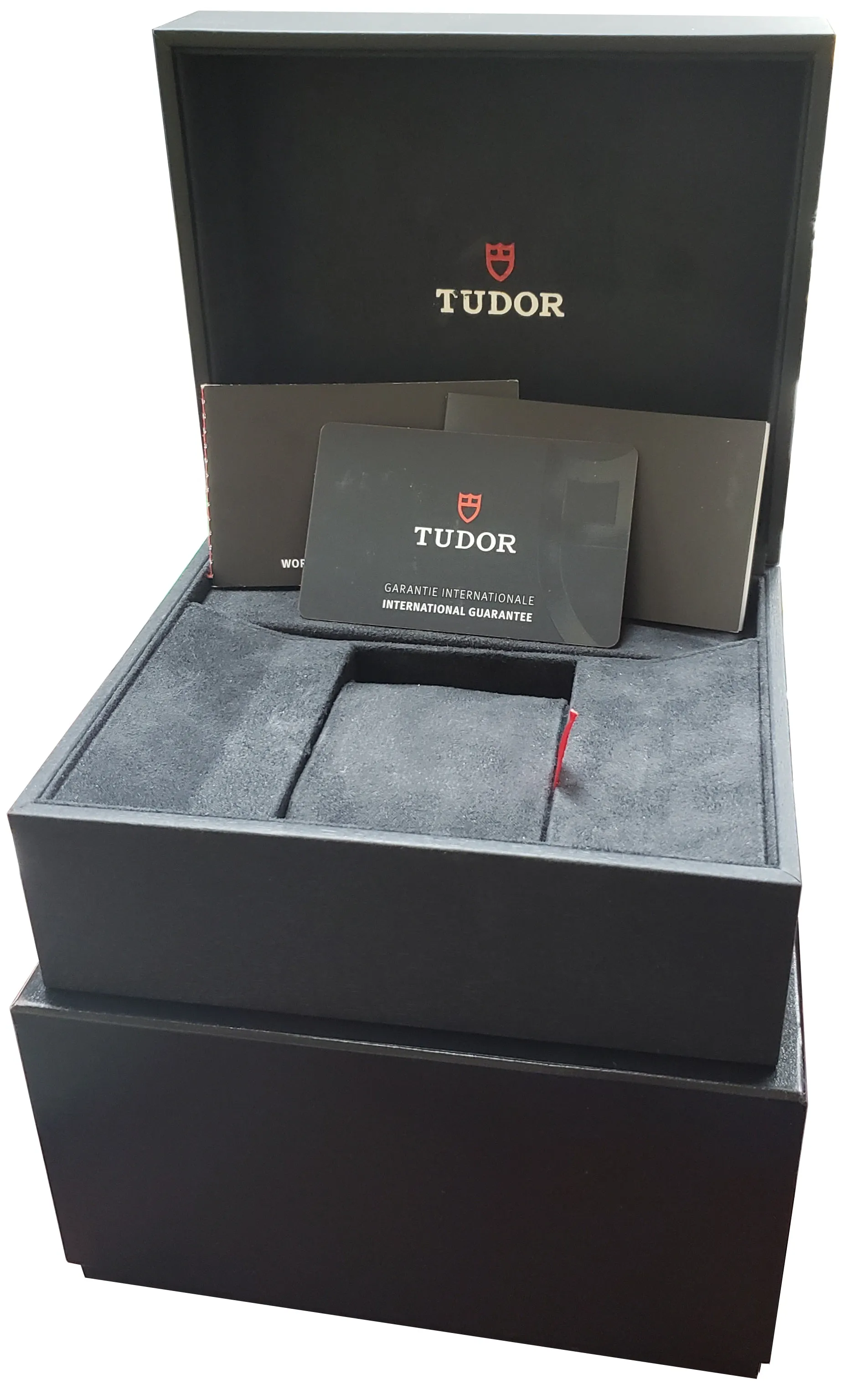 2021 Tudor Black Bay GMT Pepsi 41mm Stainless Steel Black Date Watch 79830RB B P