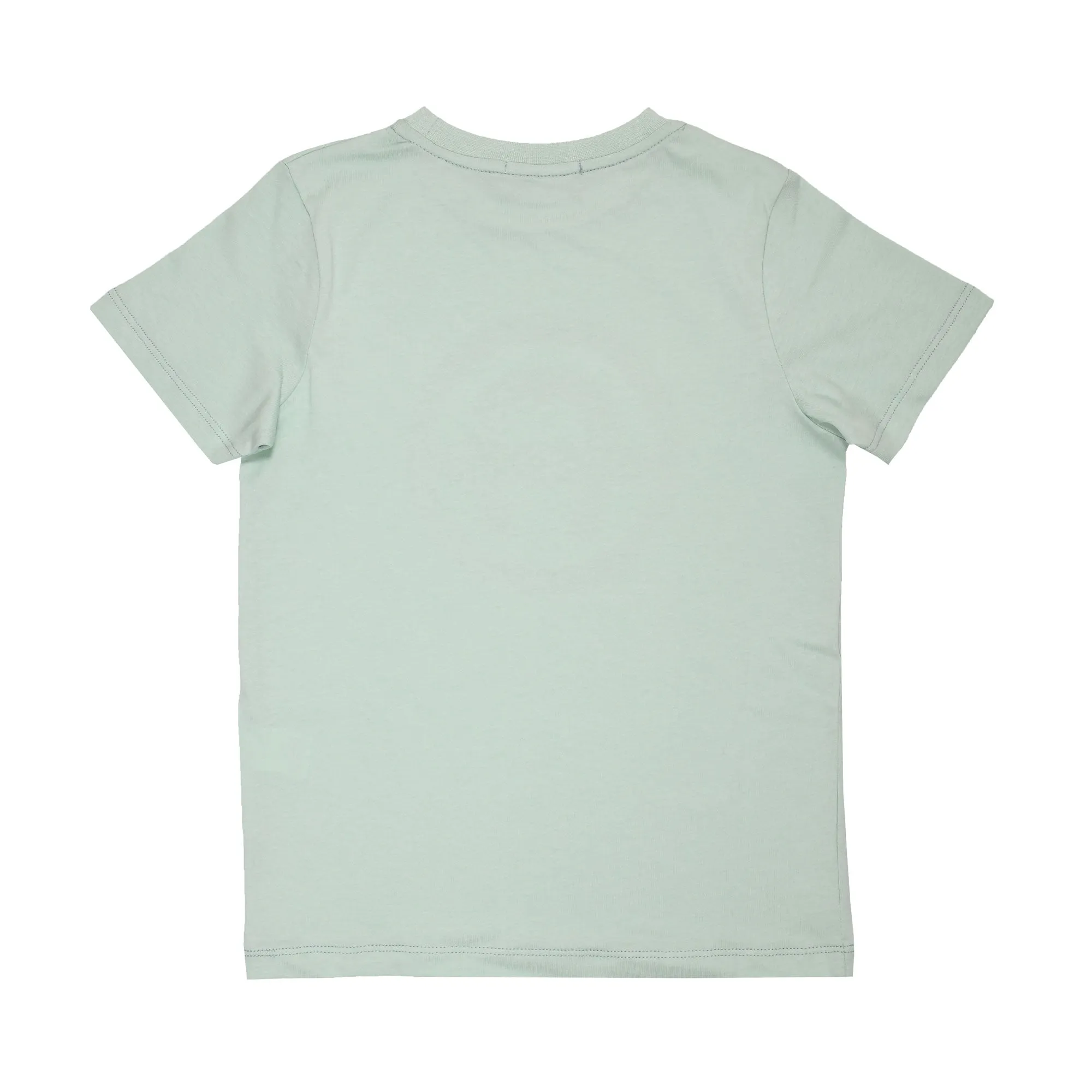 Aigner Kids Boy's Light Green T-Shirt
