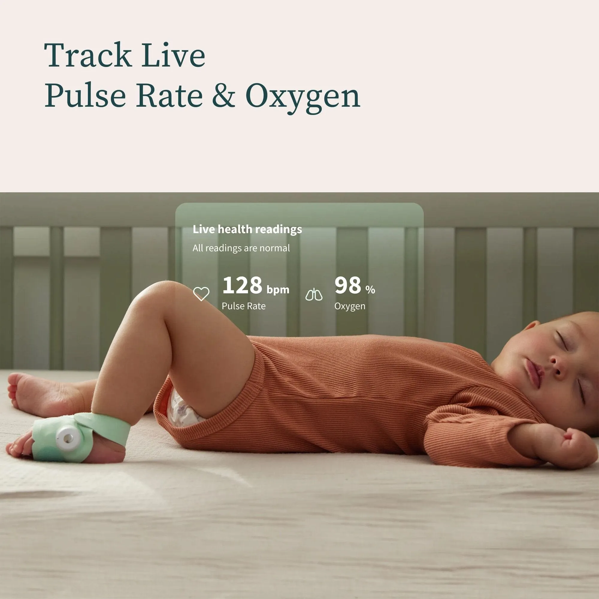 Owlet Set of Dream Sock   Cam 2 - Mint
