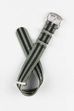 Seatbelt Nylon Watch Strap in GREY & BLACK Stripes with BRUSHED STEEL Hardware