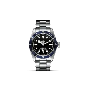 Tudor Black Bay