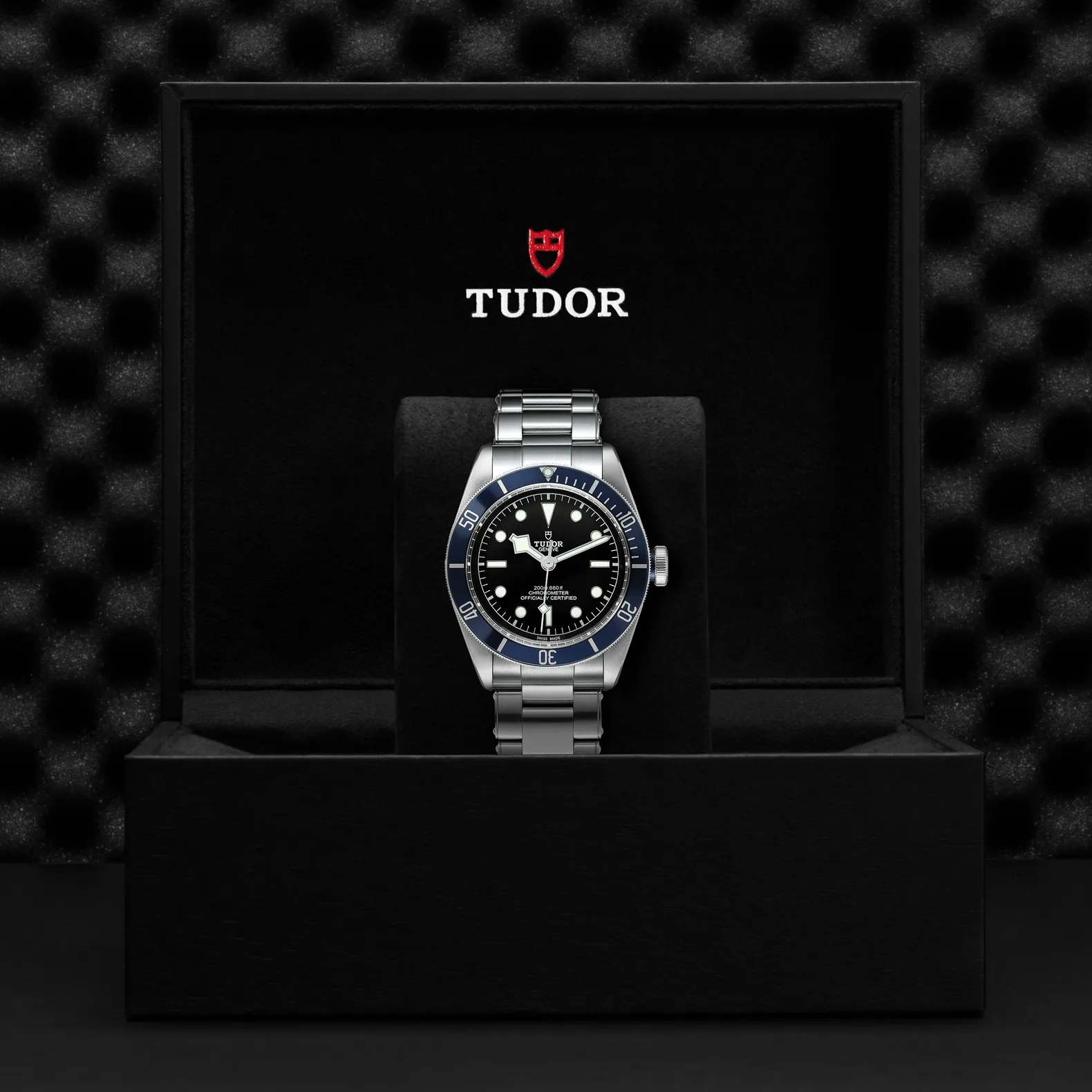 Tudor Black Bay